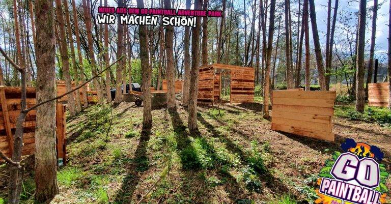 176524962 2853572421559302 1522094792792017987 n 768x401